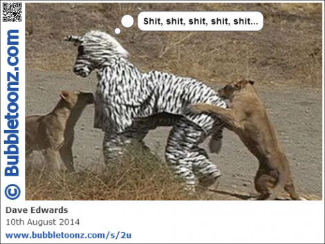 Lions attacking zebra