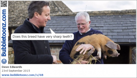 David Cameron selects a new pig