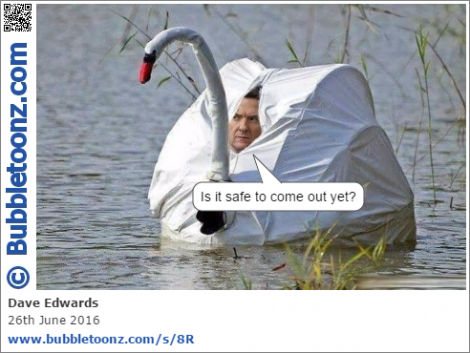 George Osborne has been found hiding in a swan